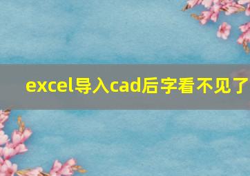 excel导入cad后字看不见了