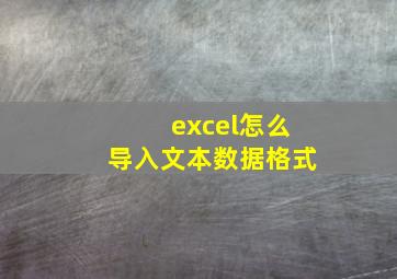 excel怎么导入文本数据格式