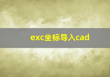 exc坐标导入cad