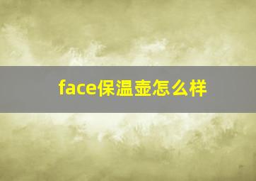 face保温壶怎么样