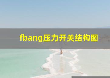 fbang压力开关结构图