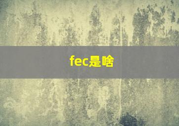 fec是啥