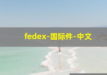 fedex-国际件-中文