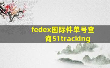 fedex国际件单号查询51tracking