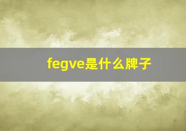 fegve是什么牌子