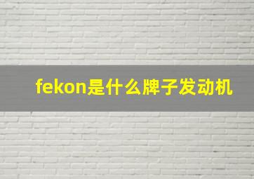 fekon是什么牌子发动机