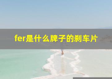 fer是什么牌子的刹车片