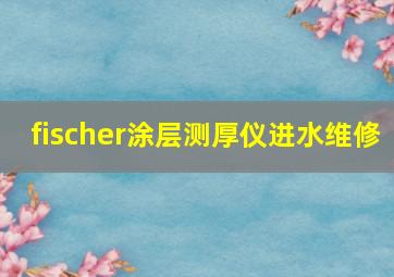 fischer涂层测厚仪进水维修