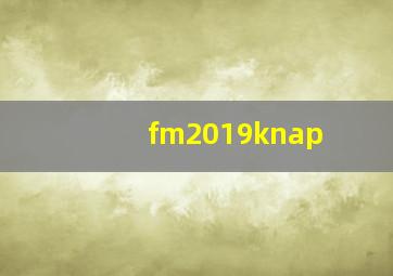 fm2019knap