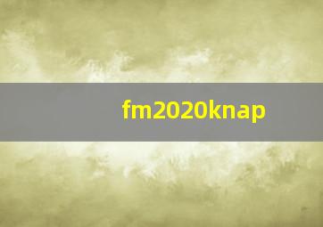 fm2020knap