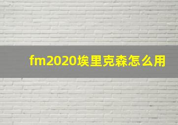 fm2020埃里克森怎么用