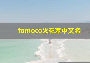 fomoco火花塞中文名