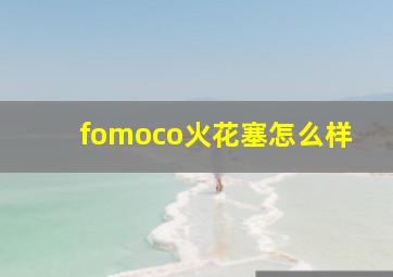 fomoco火花塞怎么样