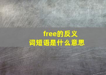 free的反义词短语是什么意思