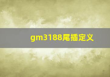 gm3188尾插定义