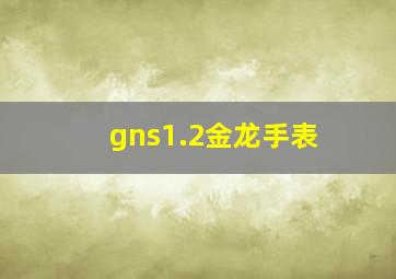 gns1.2金龙手表