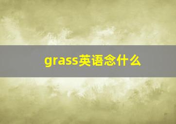 grass英语念什么