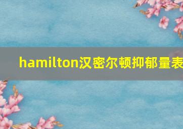 hamilton汉密尔顿抑郁量表