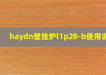 haydn壁挂炉l1p28-b使用说明