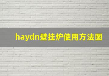 haydn壁挂炉使用方法图