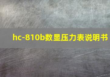 hc-810b数显压力表说明书