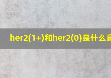 her2(1+)和her2(0)是什么意思