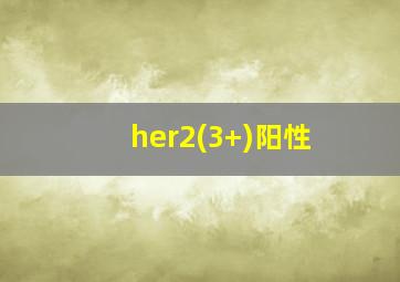 her2(3+)阳性