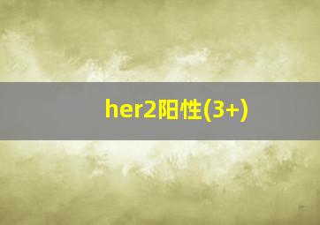 her2阳性(3+)