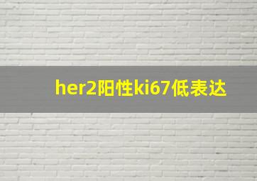 her2阳性ki67低表达