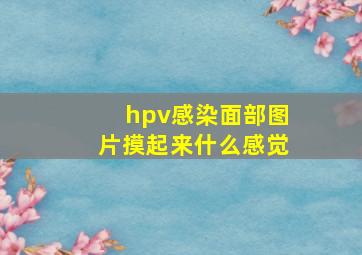 hpv感染面部图片摸起来什么感觉