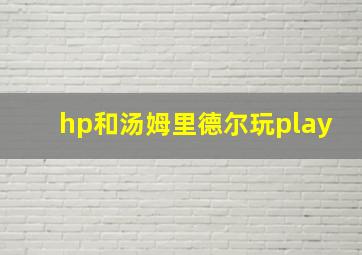 hp和汤姆里德尔玩play