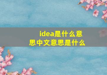 idea是什么意思中文意思是什么