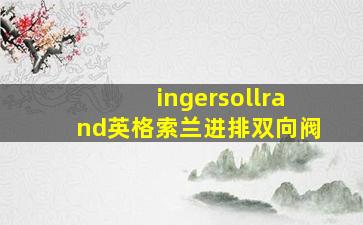 ingersollrand英格索兰进排双向阀