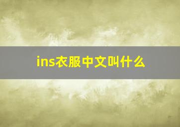 ins衣服中文叫什么