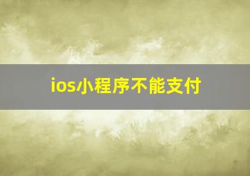 ios小程序不能支付