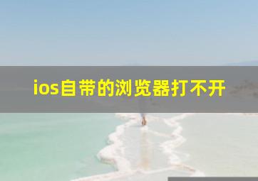 ios自带的浏览器打不开