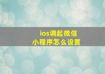 ios调起微信小程序怎么设置