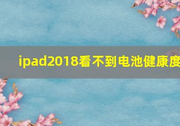 ipad2018看不到电池健康度