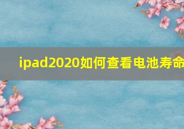 ipad2020如何查看电池寿命