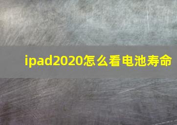 ipad2020怎么看电池寿命