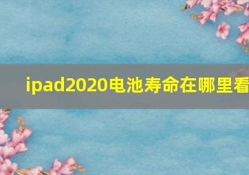 ipad2020电池寿命在哪里看