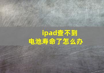 ipad查不到电池寿命了怎么办