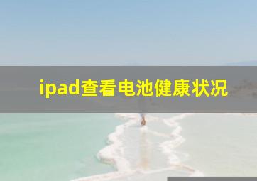 ipad查看电池健康状况