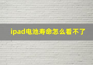 ipad电池寿命怎么看不了