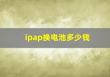 ipap换电池多少钱