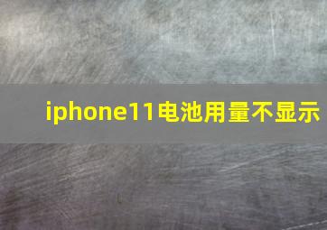 iphone11电池用量不显示