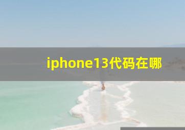 iphone13代码在哪