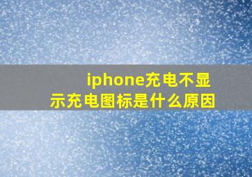 iphone充电不显示充电图标是什么原因