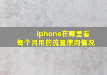 iphone在哪里看每个月用的流量使用情况