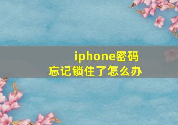 iphone密码忘记锁住了怎么办